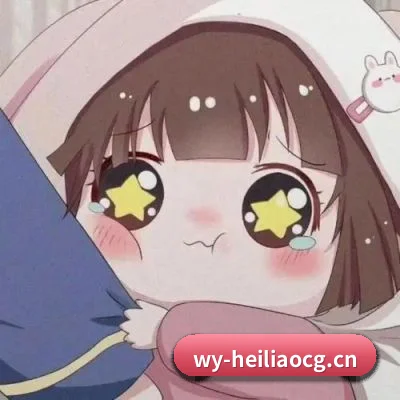 功能完善